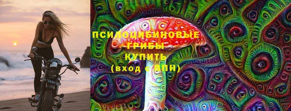 шишки Алзамай
