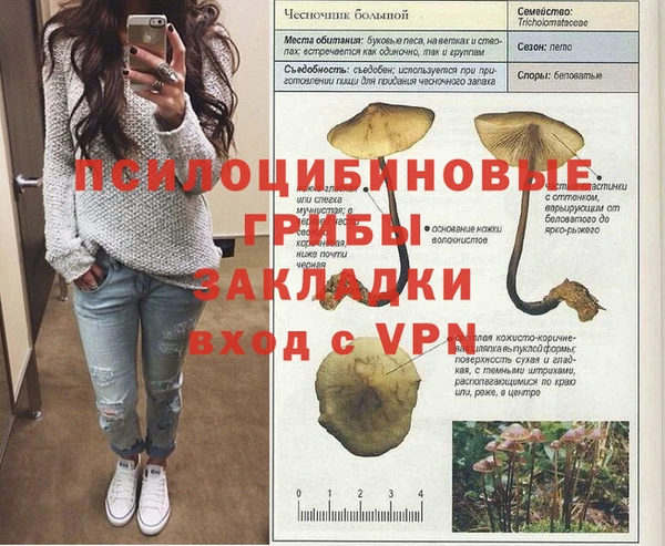 шишки Алзамай
