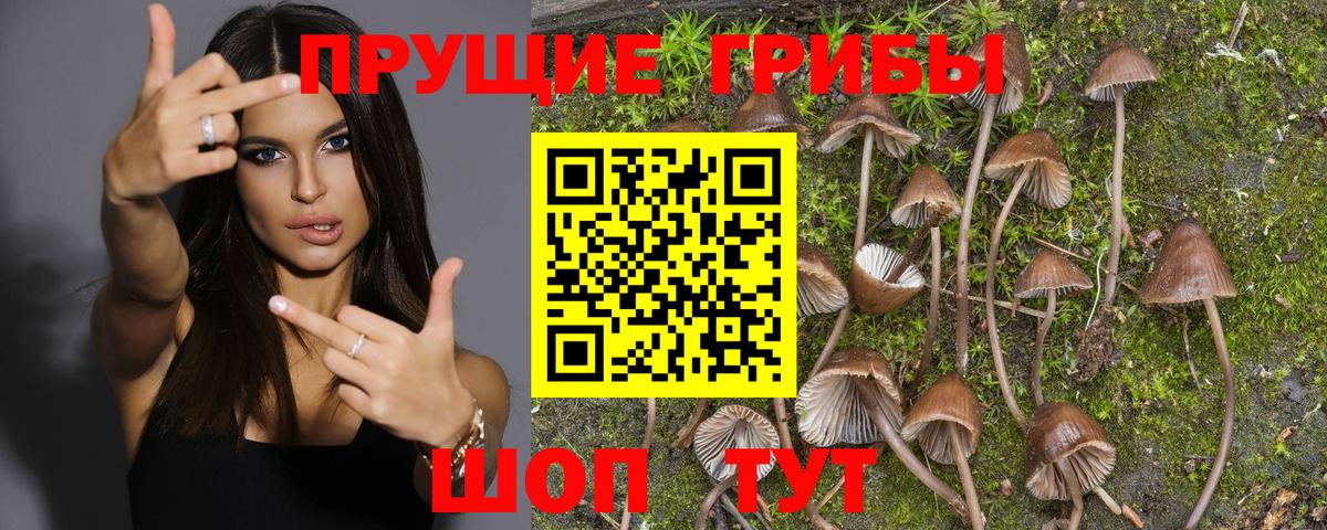 Кулебаки  Псилоцибиновые грибы GOLDEN TEACHER  Вход с VPN 